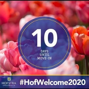Image post by @hofstrau on Instagram