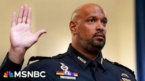 Video post by @msnbc on YouTube