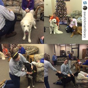 Image post by @swu_edu on Instagram