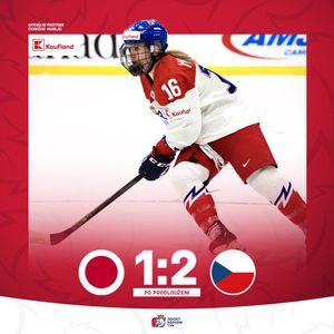 Image post by @narodnitymzen on Twitter