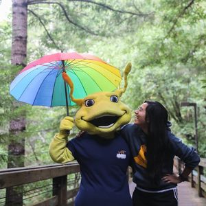 Image post by @ucsc on Instagram