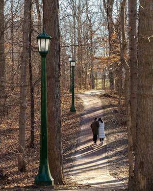 Image post by @iubloomington on Instagram
