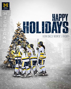 Image post by @umichwhockey on Instagram