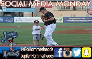 Image post by @gohammerheads on Instagram