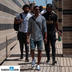 Image post by @hamiltontigercats on Instagram