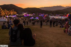 Image post by @nocturnalwland on Instagram