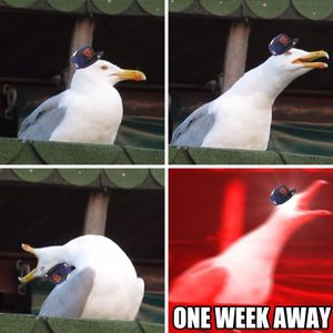 Image post by @ChicagoBears on Twitter