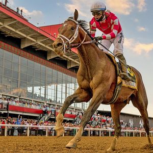 Image post by @pegasusworldcup on Instagram