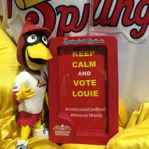 Image post by @springfield_cardinals on Instagram