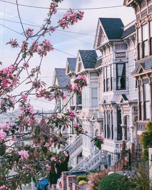 Image post by @onlyinsf on Instagram