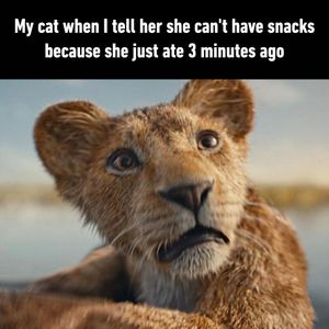 Image post by @9gag on Instagram