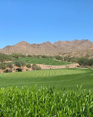 Image post by @grassclippings.club on Instagram
