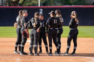 Image post by @csunsoftball on Instagram