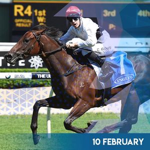 Image post by @australianturfclub on Instagram