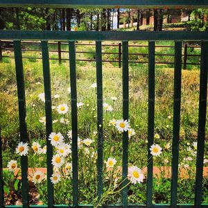 Image post by @nauflagstaff on Instagram