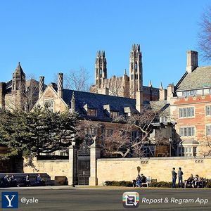 Image post by @yaleswimdive on Instagram