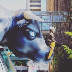 Image post by @cityofcalgary on Instagram