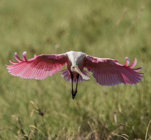 Image post by @nationalparkservice on Instagram
