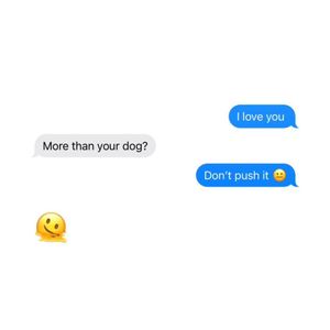 Image post by @bluebuffalo on Instagram