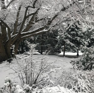 Image post by @hofstrau on Instagram