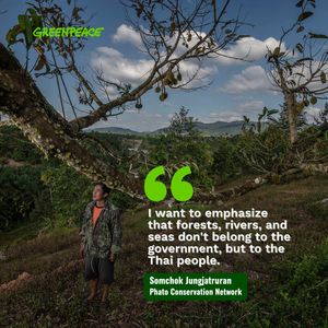 Image post by @Greenpeace on Twitter