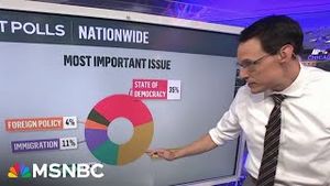 Video post by @msnbc on YouTube