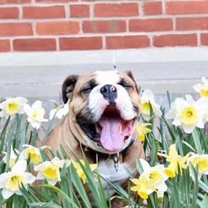 Image post by @yaleswimdive on Instagram