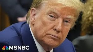 Video post by @msnbc on YouTube