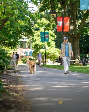Image post by @harvard on Instagram