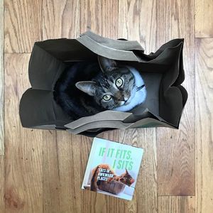 Image post by @gallerybooks on Instagram
