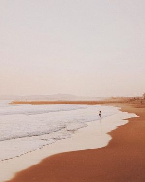 Image post by @moment on Instagram