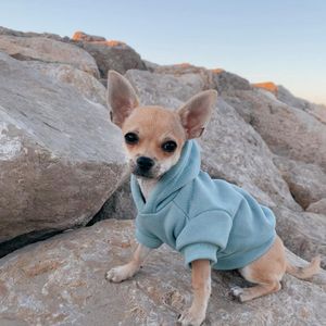 Image post by @shein_us on Instagram