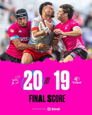 Image post by @miasharksrugby on Instagram