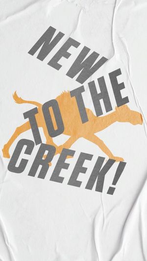 Video post by @gocamelsmbb on Instagram