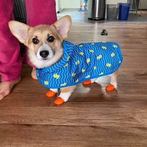 Image post by @lydiashirley on Instagram