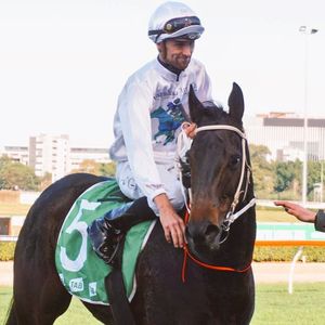 Image post by @australianturfclub on Instagram