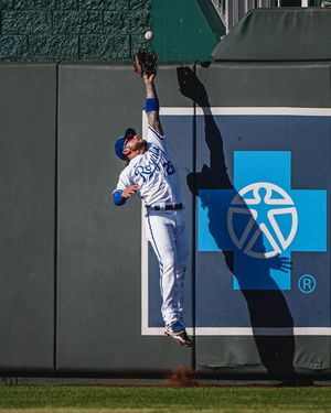 Image post by @amykontras on Instagram