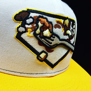 Image post by @rocredwings on Instagram