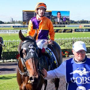 Image post by @australianturfclub on Instagram