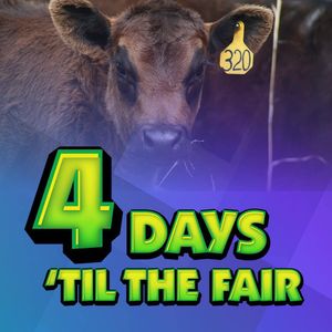 Image post by @redrivervalleyfair on Instagram
