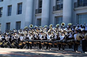 Image post by @calband on Instagram