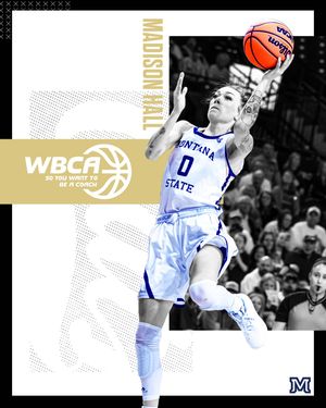 Image post by @msubobcatswbb on Instagram