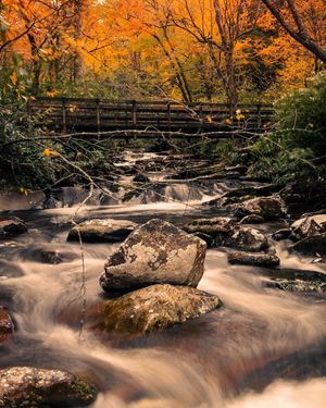 Image post by @nationalparkscollective on Instagram
