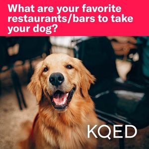 Image post by @kqed on Instagram