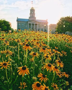Image post by @iowaadmissions on Instagram