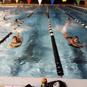 Image post by @purduewswimdive on Instagram