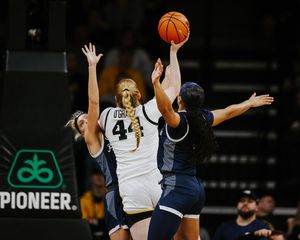 Image post by @IowaWBB on Twitter