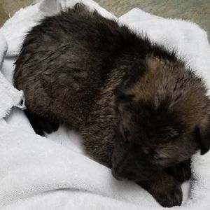 Image post by @12fact on Instagram