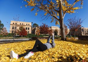 Image post by @universityofkansas on Instagram