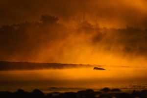 Image post by @discovery on Instagram